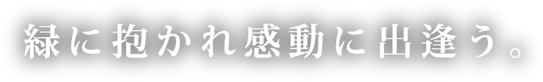 緑に抱かれ感動に出逢う。
