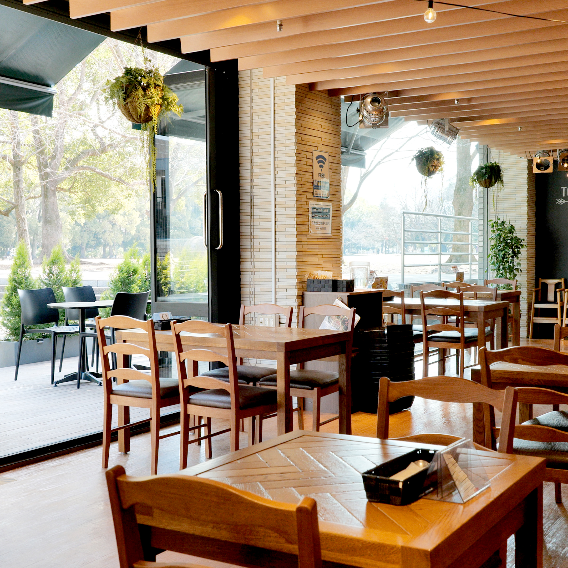 ミューズ レストラン ロッコ 店内の風景